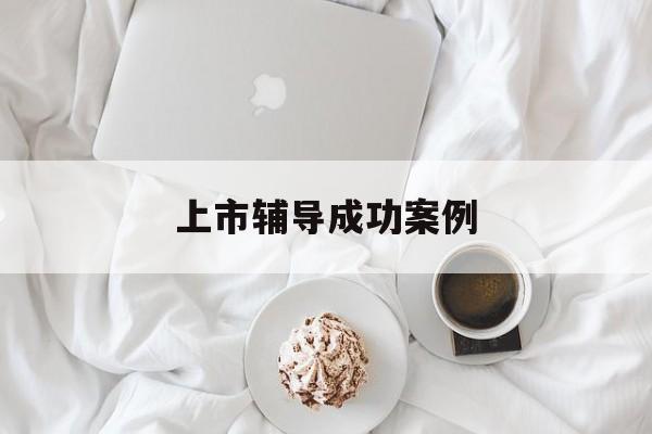 上市辅导成功案例(上市辅导成功后肯定会上市吗)噶尔县